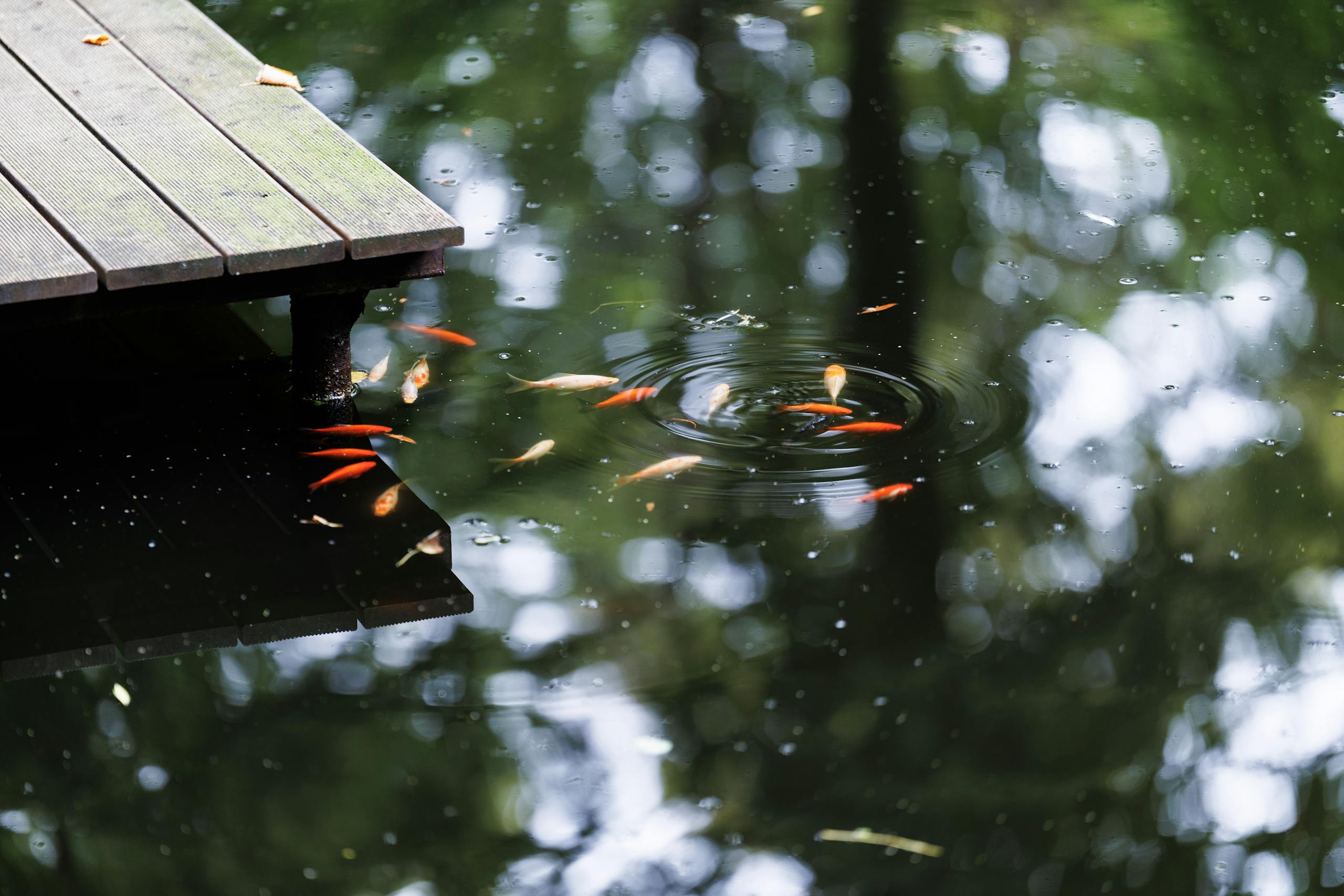 Deriving Personal Insight From External Frustration