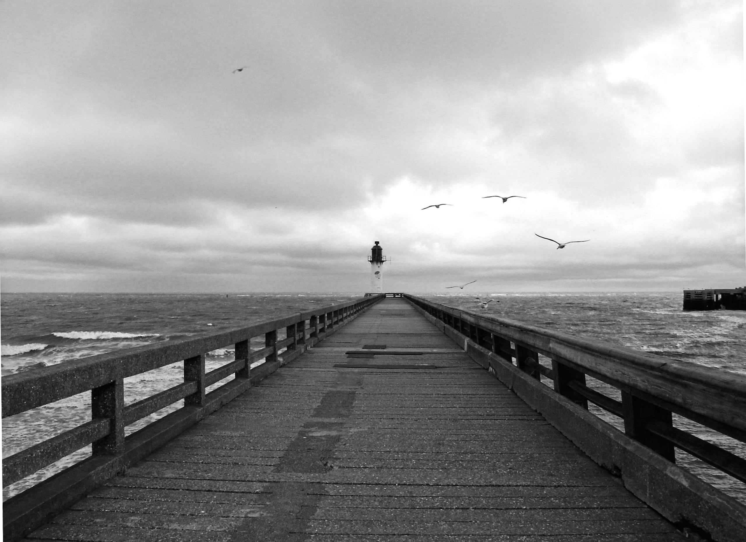 Black and white photo of a lighthouse at the end of an ocean pier with seagulls flying above.