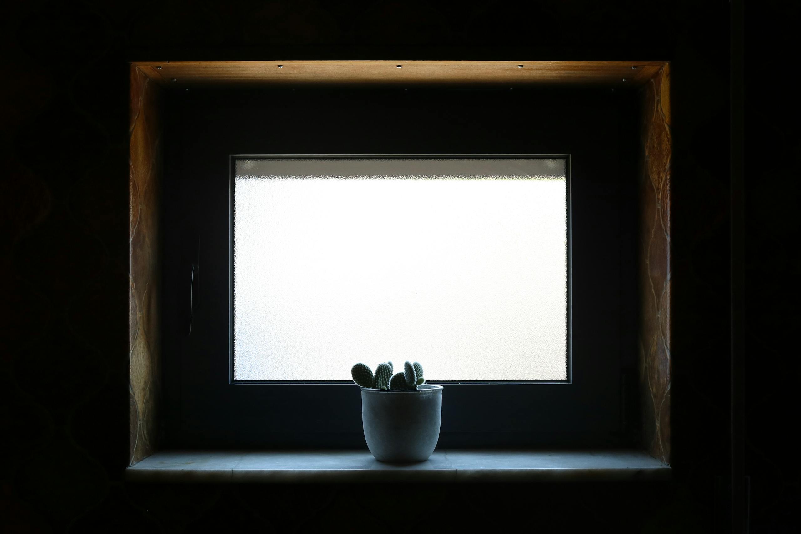 A rustic room showcasing a potted cactus on a windowsill with filtered natural light.