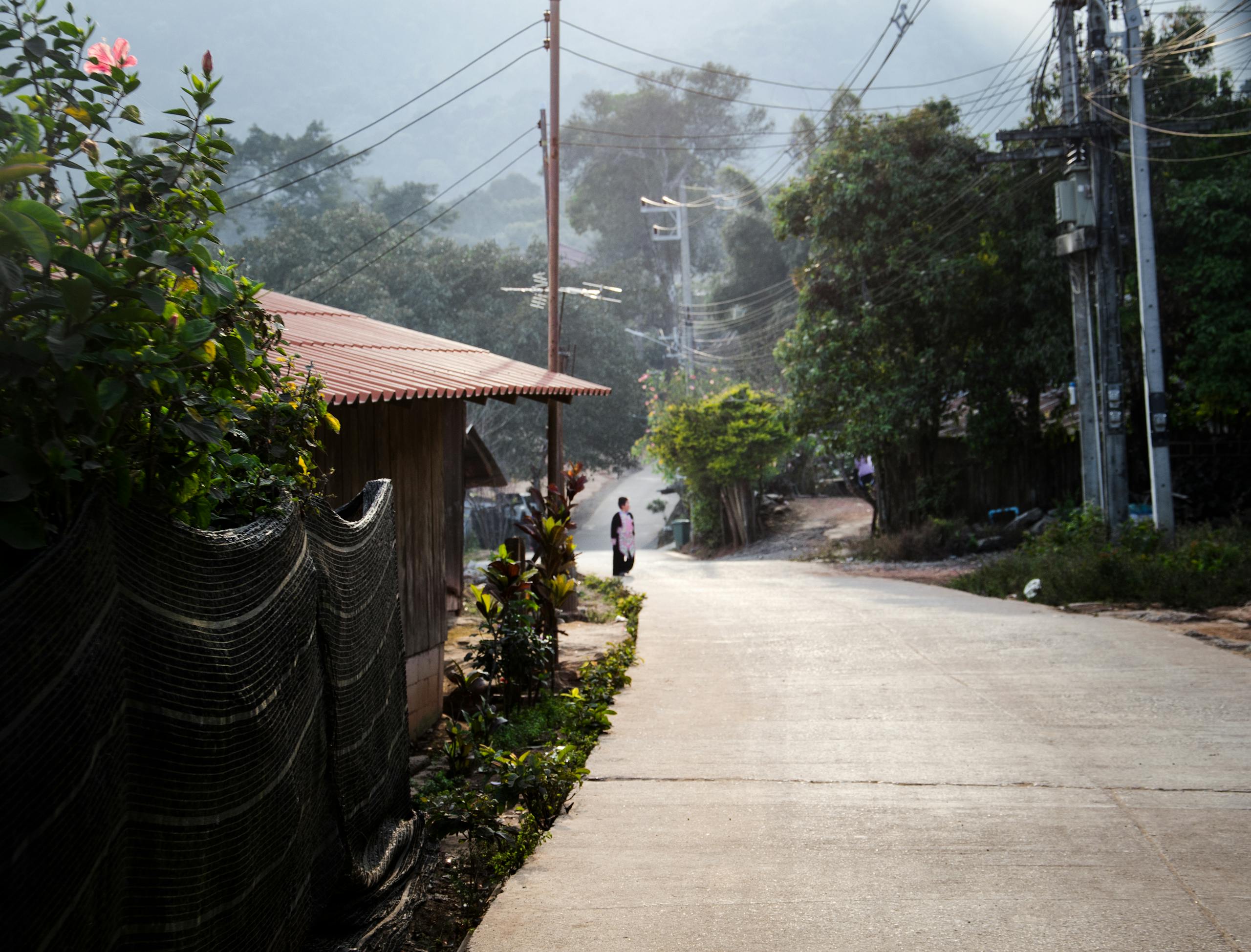 A peaceful village road with rustic houses, greenery, and power lines under a soft morning light.