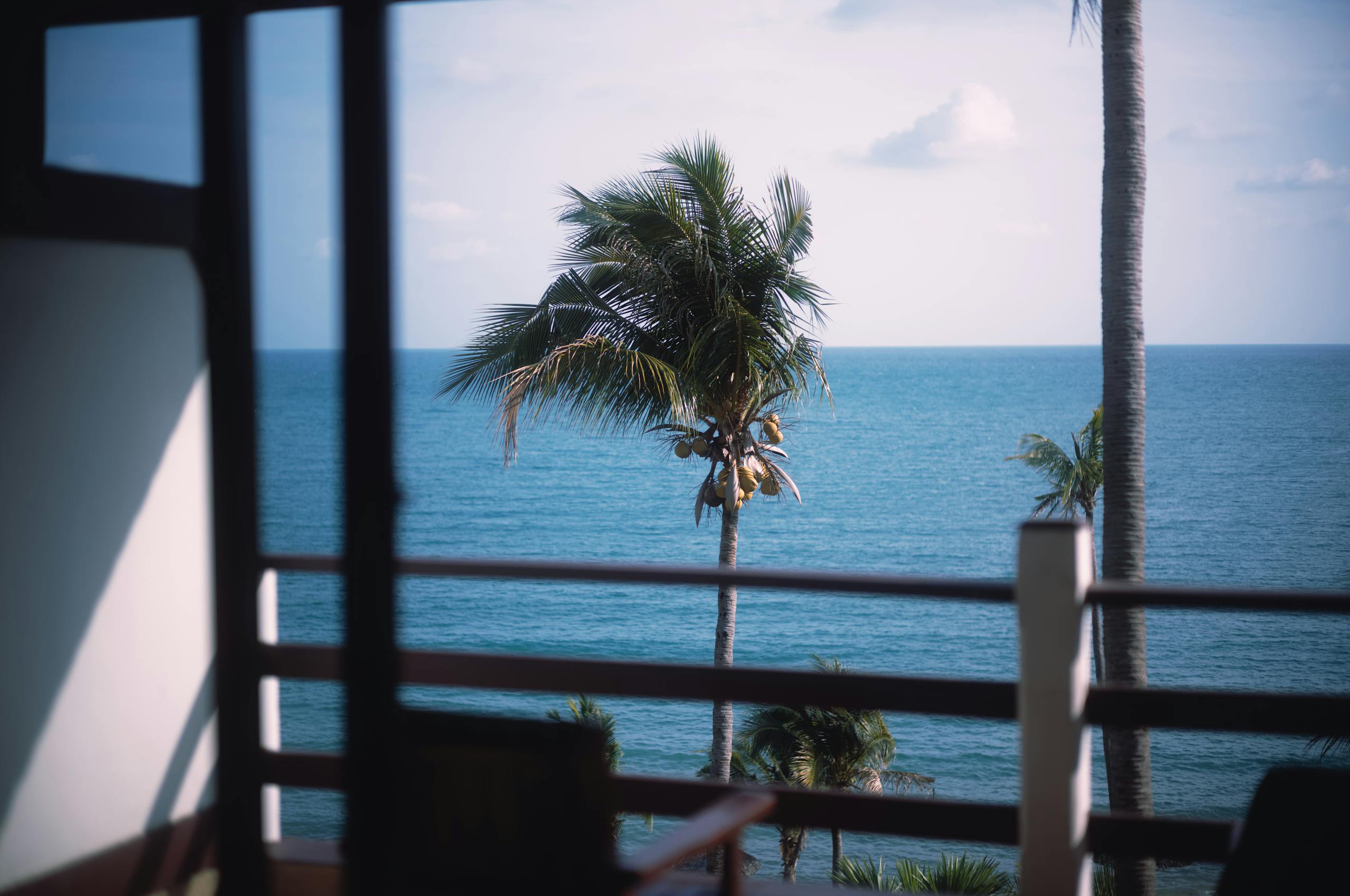 Serene view of palm trees and ocean from a balcony in Rayong, Thailand.