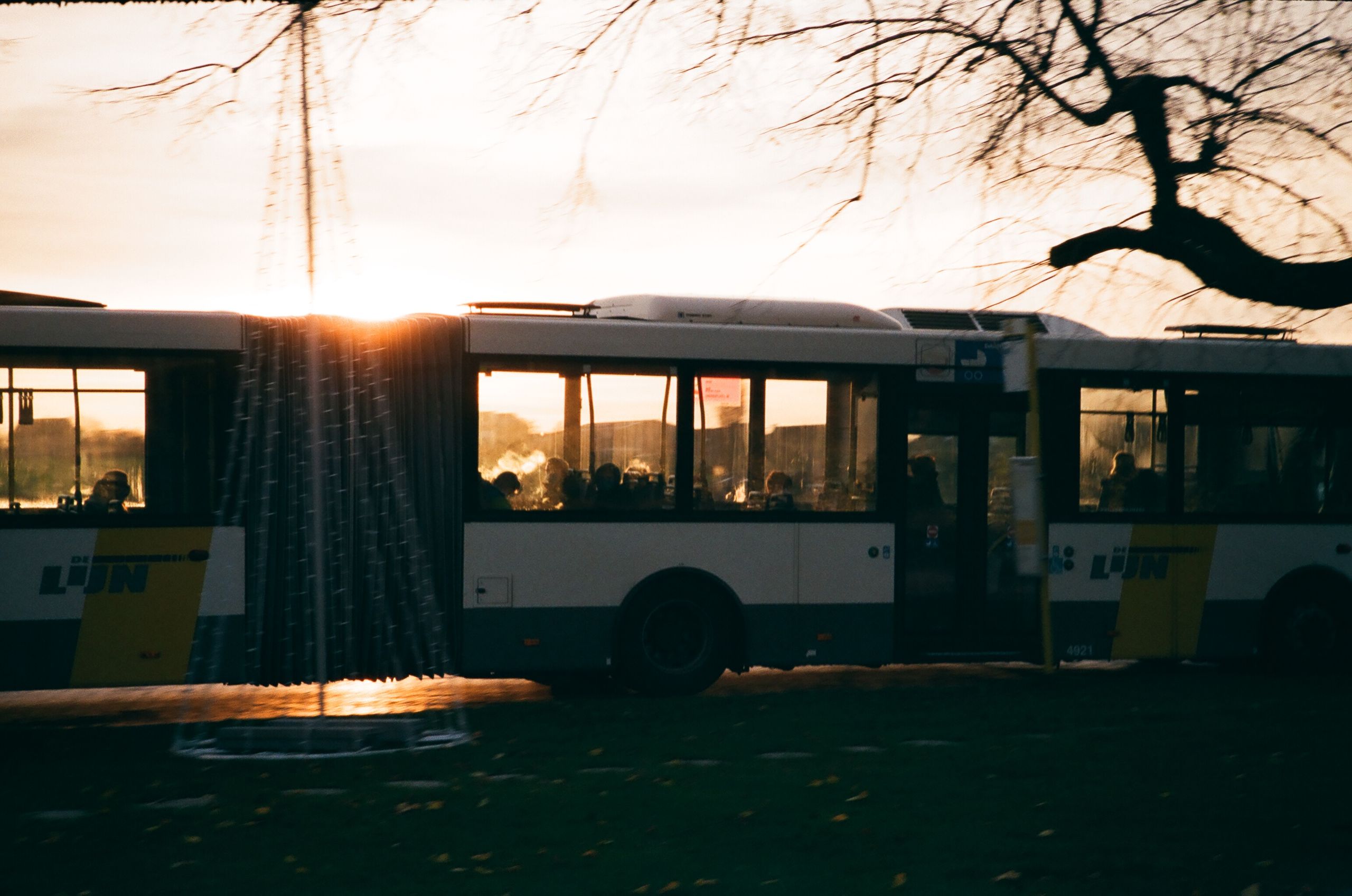 Anonymous people in modern bus driving on asphalt road near leafless tree against sunset sky