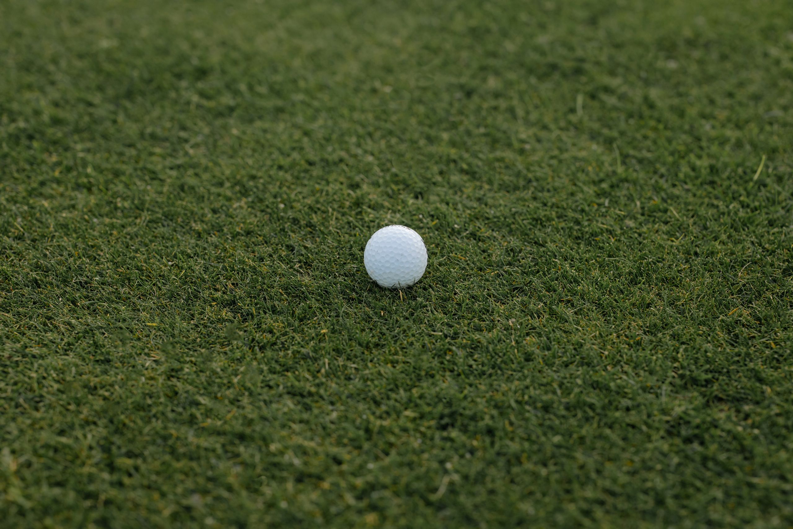 A close-up image of a white golf ball resting on green grass, perfect for sports themes.