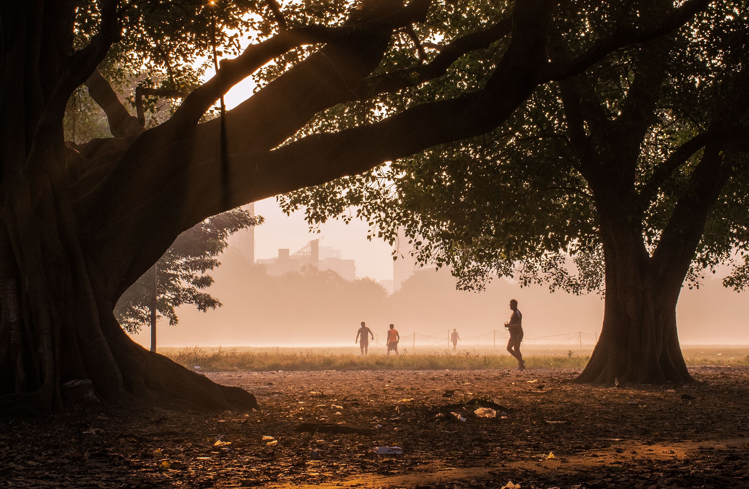 Joggers enjoying a peaceful sunrise run in a Kolkata park under large trees.